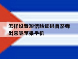 怎样设置短信验证码自然弹出来呢苹果手机的简单介绍