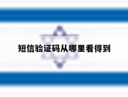 短信验证码从哪里看得到