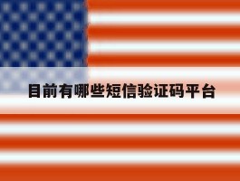 目前有哪些短信验证码平台