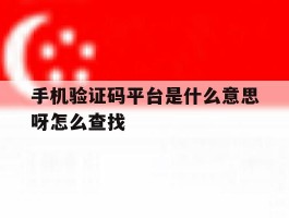 手机验证码平台是什么意思呀怎么查找