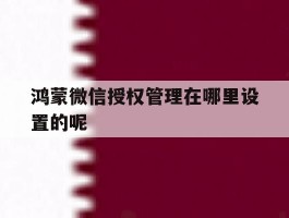 鸿蒙微信授权管理在哪里设置的呢