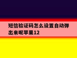 短信验证码怎么设置自动弹出来呢苹果12
