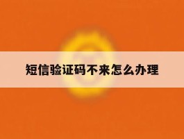 短信验证码不来怎么办理