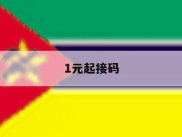 1元起接码