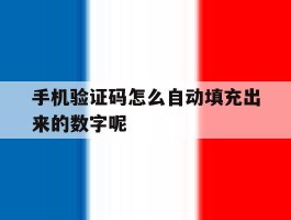 手机验证码怎么自动填充出来的数字呢