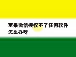 苹果微信授权不了任何软件怎么办呀