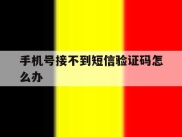 手机号接不到短信验证码怎么办