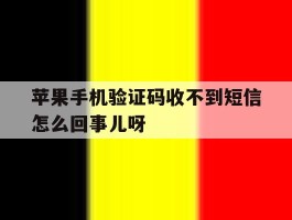 关于苹果手机验证码收不到短信怎么回事儿呀的信息