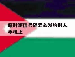 临时短信号码怎么发给别人手机上