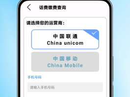 包含临时短信手机号码怎么查话费余额呢的词条