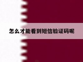 怎么才能看到短信验证码呢