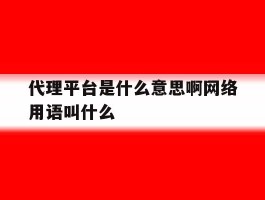代理平台是什么意思啊网络用语叫什么