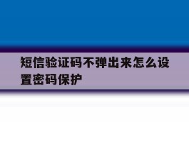 短信验证码不弹出来怎么设置密码保护