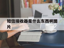 短信接收器是什么东西啊图片