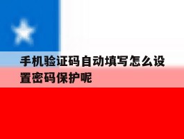 手机验证码自动填写怎么设置密码保护呢