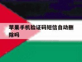 苹果手机验证码短信自动删除吗