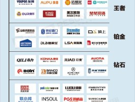 最火的代理平台有哪些公司名称