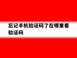 忘记手机验证码了在哪里看验证码