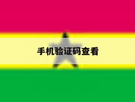 手机验证码查看