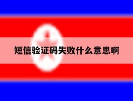 短信验证码失败什么意思啊