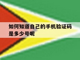 如何知道自己的手机验证码是多少号呢