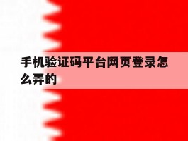 手机验证码平台网页登录怎么弄的