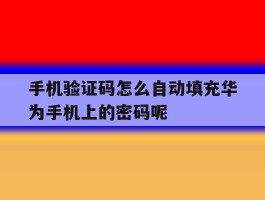 关于手机验证码怎么自动填充华为手机上的密码呢的信息