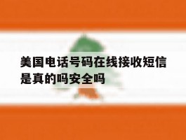 美国电话号码在线接收短信是真的吗安全吗的简单介绍