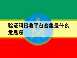 验证码接收平台合集是什么意思呀