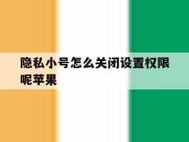 隐私小号怎么关闭设置权限呢苹果