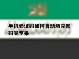 手机验证码如何自动填充密码呢苹果