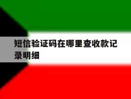 短信验证码在哪里查收款记录明细