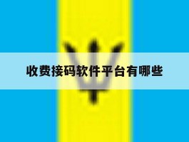 收费接码软件平台有哪些