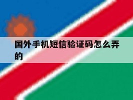 国外手机短信验证码怎么弄的