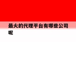 包含最火的代理平台有哪些公司呢的词条