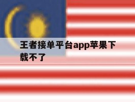 王者接单平台app苹果下载不了