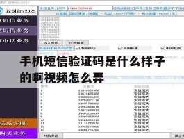 手机短信验证码是什么样子的啊视频怎么弄