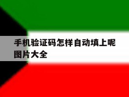 手机验证码怎样自动填上呢图片大全