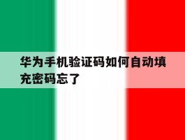 关于华为手机验证码如何自动填充密码忘了的信息