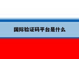 国际验证码平台是什么
