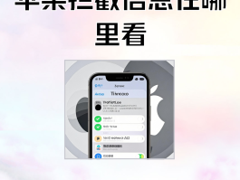 临时短信验证码网站是什么软件啊苹果