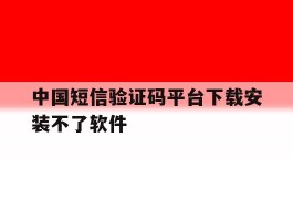 中国短信验证码平台下载安装不了软件
