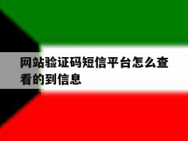网站验证码短信平台怎么查看的到信息