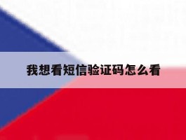 我想看短信验证码怎么看