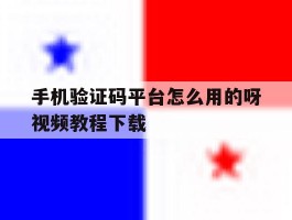 手机验证码平台怎么用的呀视频教程下载