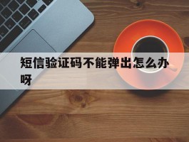 短信验证码不能弹出怎么办呀