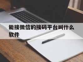 能接微信的接码平台叫什么软件