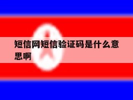 短信网短信验证码是什么意思啊