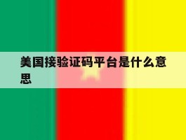 美国接验证码平台是什么意思