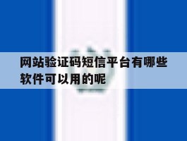 网站验证码短信平台有哪些软件可以用的呢的简单介绍